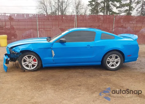 2013 Ford Mustang V6 z USA, uszkodzony, nr VIN 1ZVBP8AM7D5254640